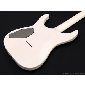 画像9: GrassRoots　G-HORIZON-FX [See Thru White Sunburst Satin]