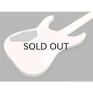 画像9: GrassRoots　G-HORIZON-FX [See Thru White Sunburst Satin]