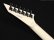 画像7: GrassRoots　G-HORIZON-FX [See Thru White Sunburst Satin] (7)