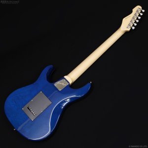 画像9: GrassRoots　G-SN-CTM Snapper [See Thru Blue]