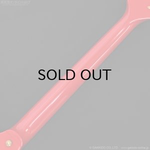 画像12: Gibson　2022 Lzzy Hale Signature Explorerbird リジー・ヘイルモデル [Cardinal Red] [中古品]