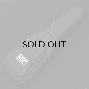 画像14: EDWARDS　Platinum E-STREAM-Miku-Custom -SAKURA MIKU Edition-