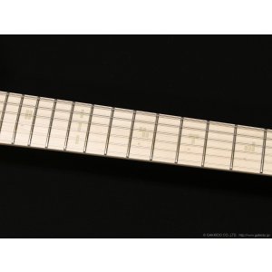 画像7: EDWARDS Platinum E-STREAM-Miku-Custom -SAKURA MIKU Edition-