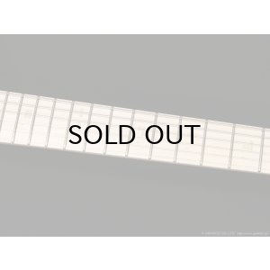 画像7: EDWARDS　Platinum E-STREAM-Miku-Custom -SAKURA MIKU Edition-