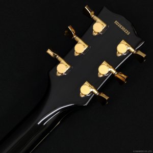 画像8: Edwards　E-LP-CTM BK [Black] [中古]