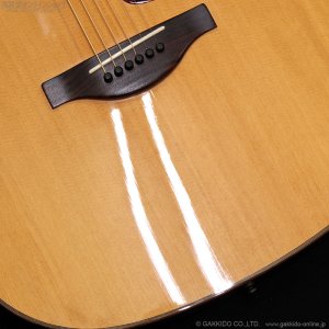 画像8: YAMAHA　2017 The FG [中古品]