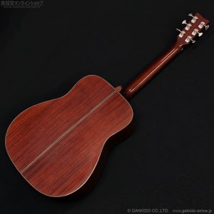 画像19: YAMAHA　2017 The FG [中古品]