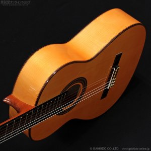 画像4: Juan Hernandez　2004 Etudio Flamenca フラメンコギター [中古品]