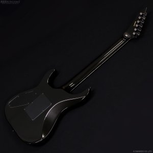 画像10: Edwards　E-Horizon-I [Black]
