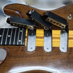 画像18: Greco　1979 GOII950 NT [ヴィンテージ品]