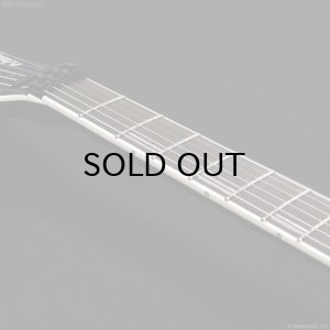 画像12: Edwards　E-Horizon-I [Black]