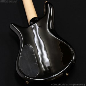 画像12: Spector　Icon NS-2 Bolt-On [Black Cherry Burst]