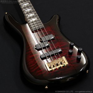 画像4: Spector　Icon NS-2 Bolt-On [Black Cherry Burst]