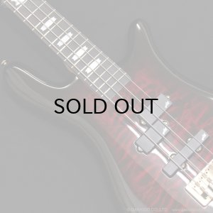 画像5: Spector　Icon NS-2 Bolt-On [Black Cherry Burst]