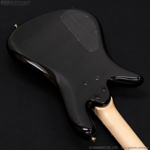 画像14: Spector　Icon NS-2 Bolt-On [Black Cherry Burst]