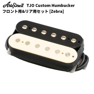画像1: Aria Pro II　TJO Custom Humbucker Set エレキギター用ピックアップ AHB-TJO SET ZEB [Zebra]