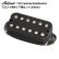 画像1: Aria Pro II　TJO Custom Humbucker Set エレキギター用ピックアップ AHB-TJO SET BK [Black] (1)