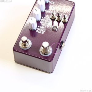 画像5: The Montreal Assembly　Count to 5 (Five) [Dark Purple] 直輸入品 【アウトレット特価】