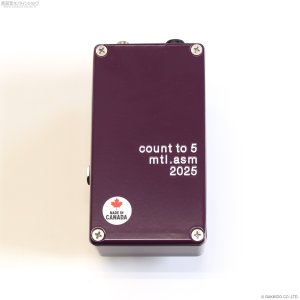 画像4: The Montreal Assembly　Count to 5 (Five) [Dark Purple] 直輸入品 【アウトレット特価】