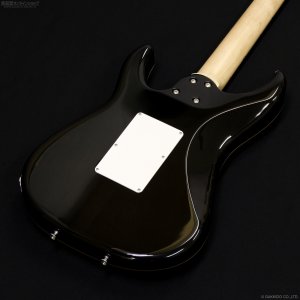 画像9: SCHECTER　SD-2-24-AL AQB/M [Aqua Blue]