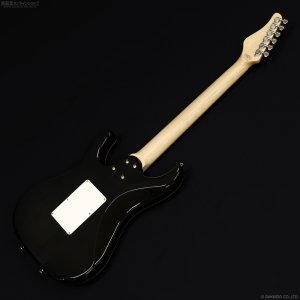 画像10: SCHECTER　SD-2-24-AL AQB/M [Aqua Blue]