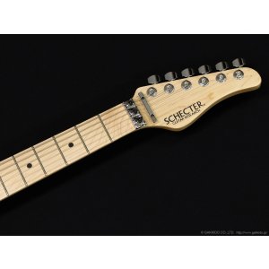 画像5: SCHECTER　SD-2-24-AL AQB/M [Aqua Blue]