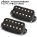 画像2: Aria Pro II　TJO Custom Humbucker Set エレキギター用ピックアップ AHB-TJO SET BK [Black] (2)