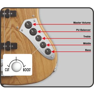 画像8: Grassroots　G-Amaze [See Thru Blue]