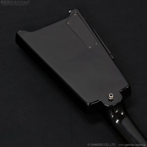 画像9: Spirit by Steinberger　2009 XT-2 [Black] [中古品]