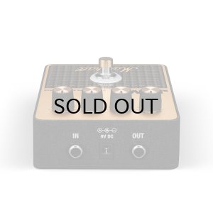 画像2: Marshall　JVM Pedal