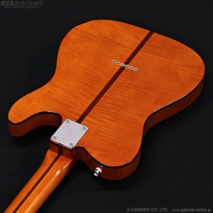 画像18: H.S.Anderson　HS-1 LH Mad Cat [左利き用モデル]