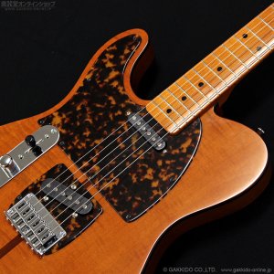 画像6: H.S.Anderson　HS-1 LH Mad Cat [左利き用モデル]