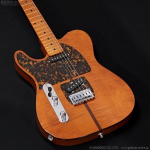 画像3: H.S.Anderson　HS-1 LH Mad Cat [左利き用モデル]