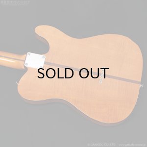 画像17: H.S.Anderson　HS-1 LH Mad Cat [左利き用モデル]