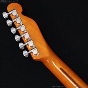 画像12: H.S.Anderson　HS-1 LH Mad Cat [左利き用モデル]