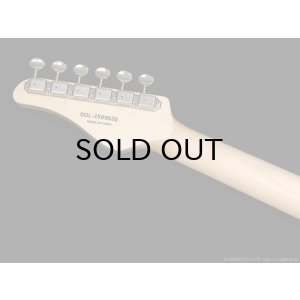 画像7: Schecter　OL-PT-CTM [Black]