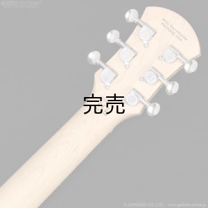 画像7: Pignose　PGG-JAIL ROCK