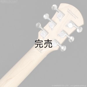 画像7: Pignose　PGG-JAIL ROLL