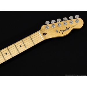 画像5: Fender　Standard Telecaster [Butterscotch Blonde]