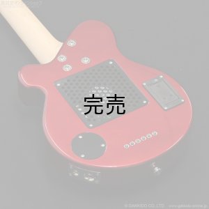 画像9: Pignose　PGG-JAIL ROLL