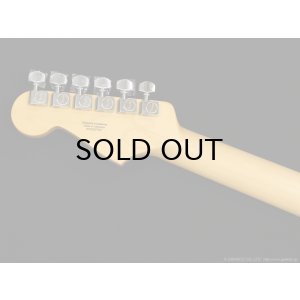 画像6: Fender　Standard Stratocaster [Olympic White]