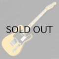 Fender　Standard Telecaster [Butterscotch Blonde]