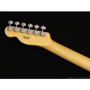 画像6: Fender　Standard Telecaster [Butterscotch Blonde]
