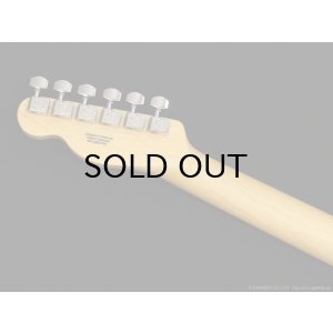 画像6: Fender　Standard Telecaster [Butterscotch Blonde]