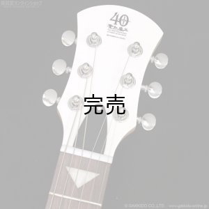 画像5: Pignose　PGG-JAIL ROCK