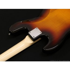 画像7: GrassRoots　G-JB/R [3-Tone Sunburst]