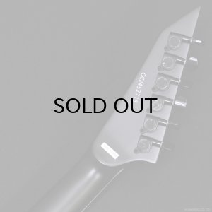 画像7: GrassRoots　G-HORIZON-FX [Black Satin]