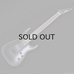 画像1: GrassRoots　G-HORIZON-FX [Black Satin]