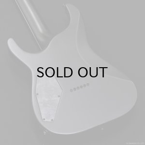 画像8: GrassRoots　G-HORIZON-FX [Black Satin]