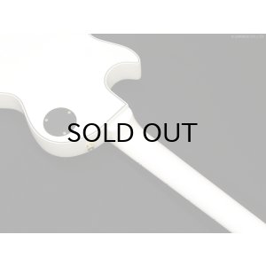 画像8: Edwards　E-LP-CTM “All Mahogany” WH [White] [当店オリジナルモデル] [デジマート連動セール特価]